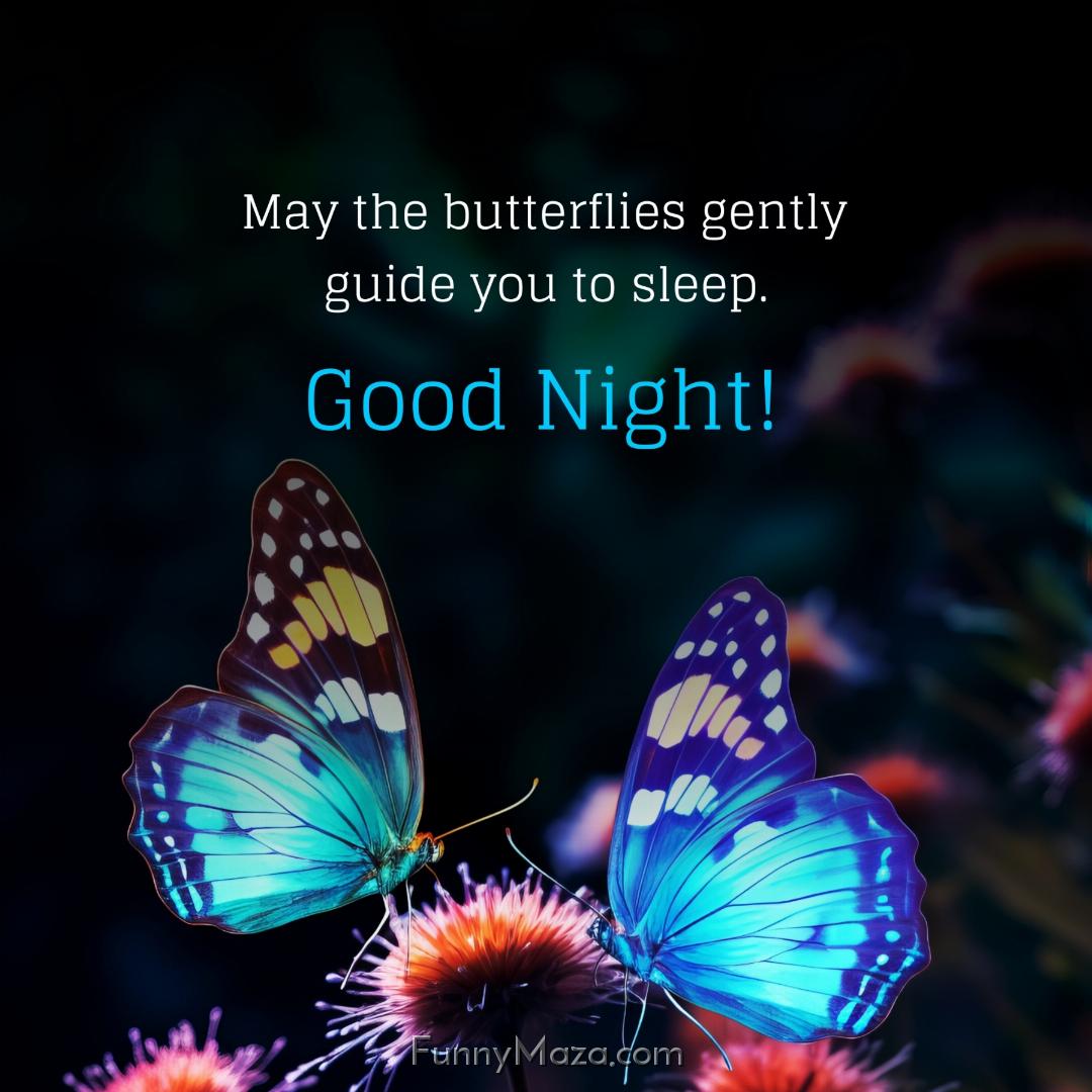 May the butterflies gently guide you to sleep