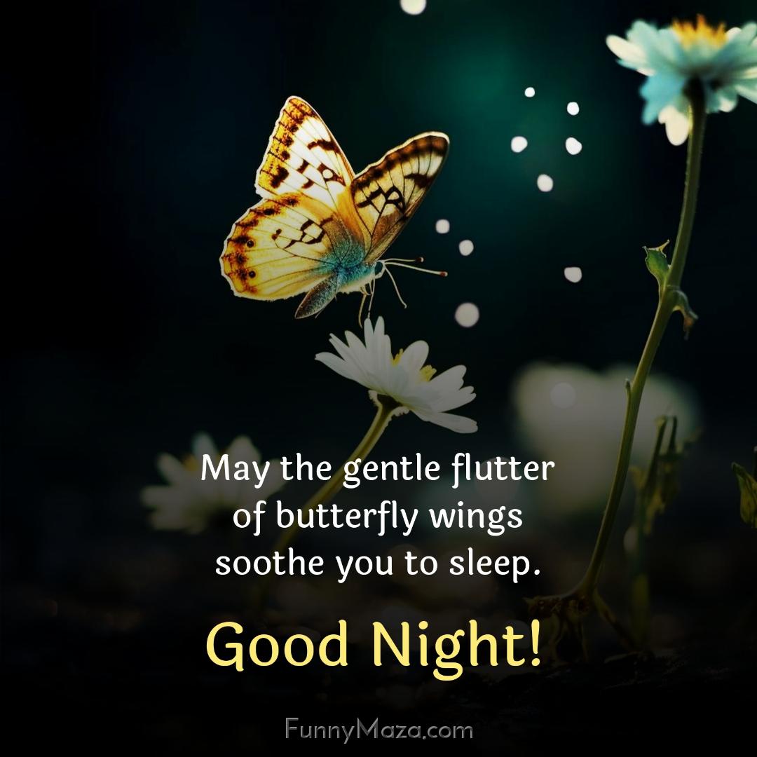 May the gentle flutter of butterfly wings soothe you to sleep