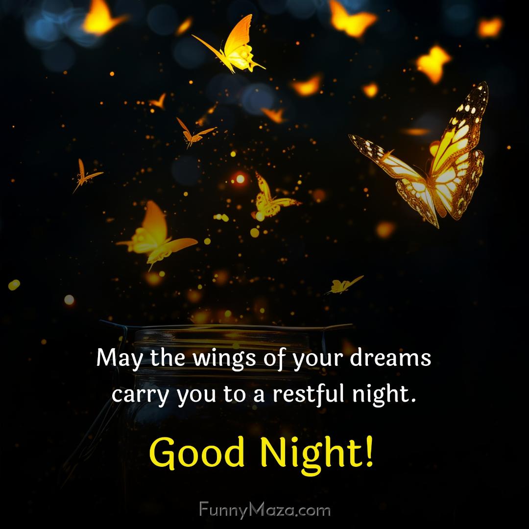 May the wings of your dreams carry you to a restful