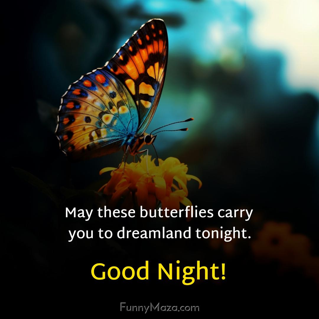 May these butterflies carry you to dreamland tonight