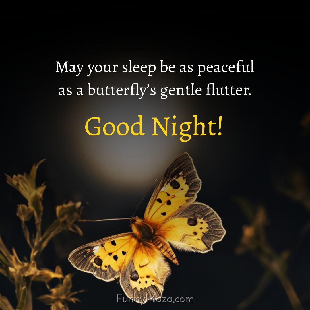 May your sleep be as peaceful as a butterfly’s gentle flutter