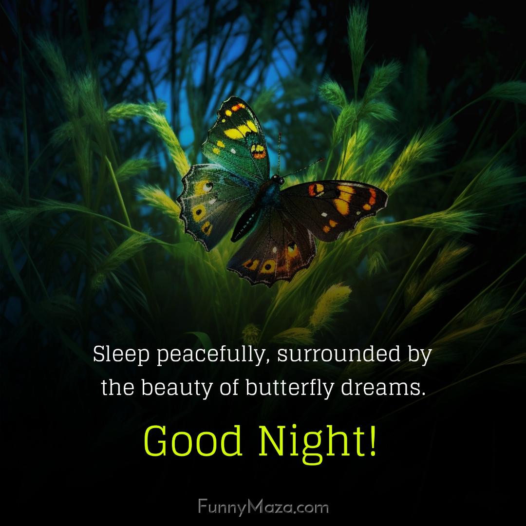 Sleep peacefully surrounded by the beauty of butterfly dreams