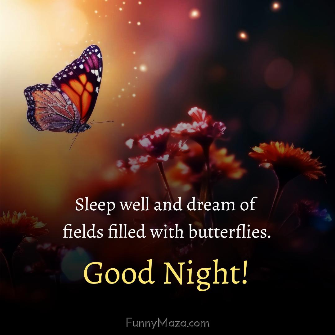 Sleep well and dream of fields filled with butterflies