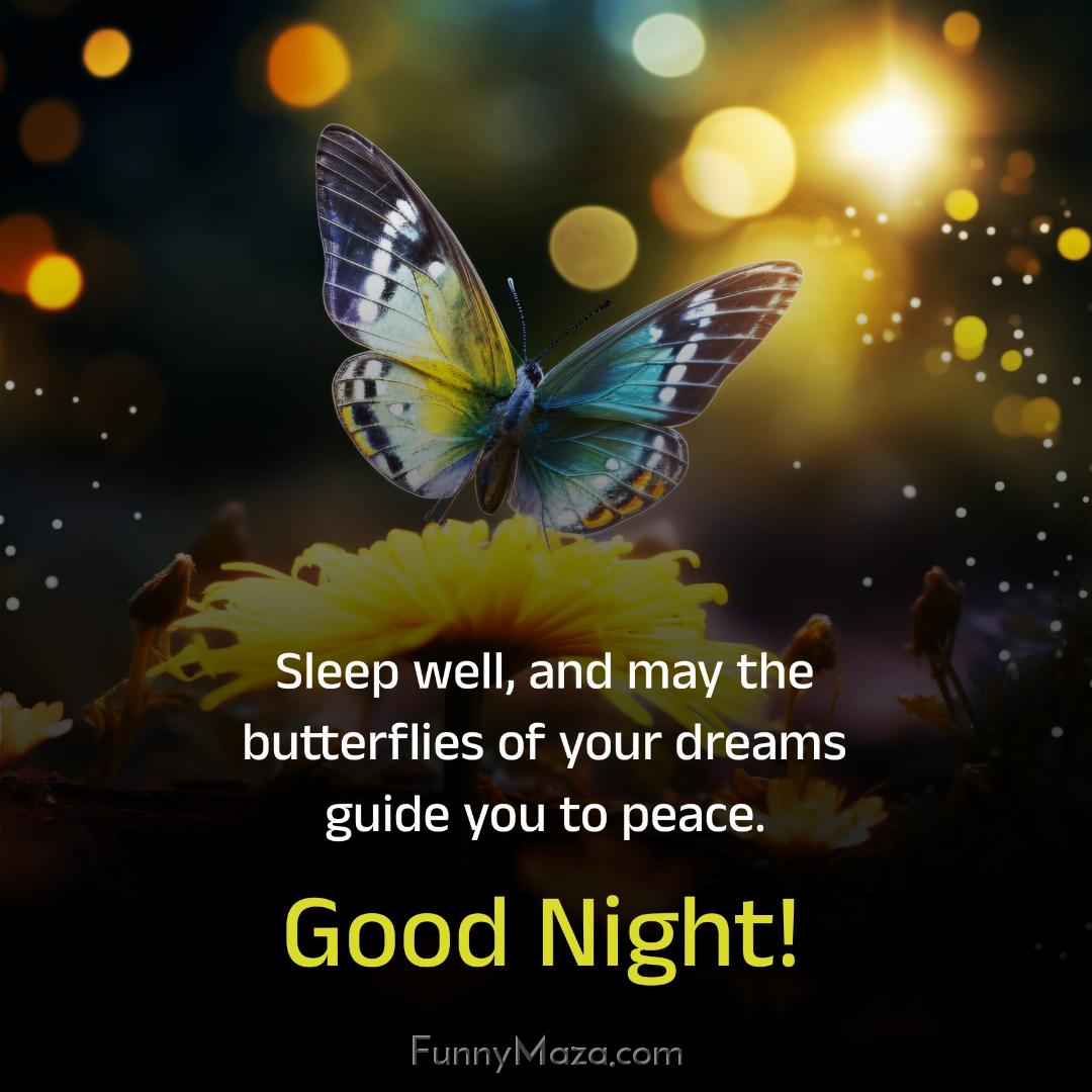 Sleep well and may the butterflies of your dreams guide you