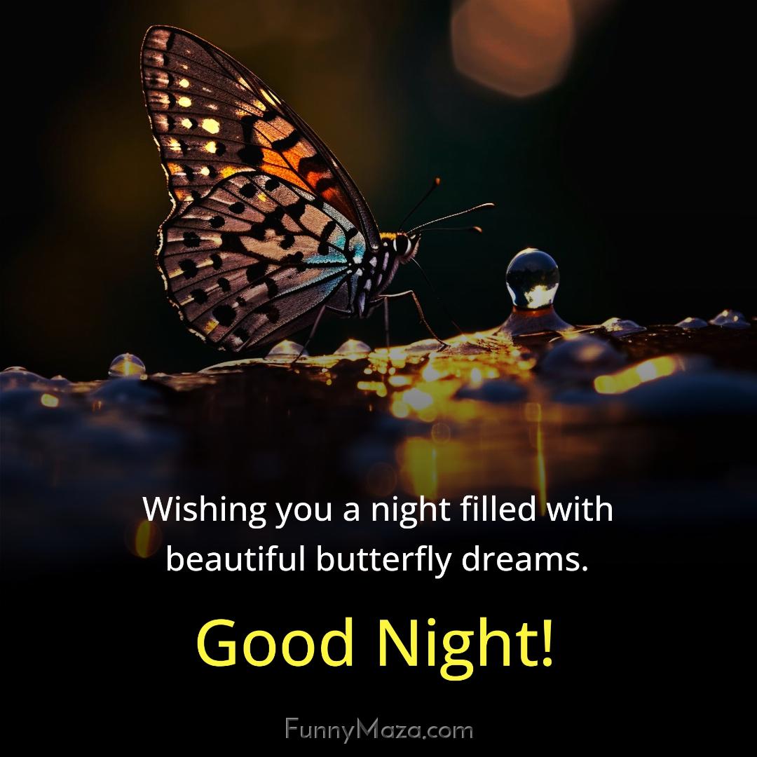 Wishing you a night filled with beautiful butterfly dreams