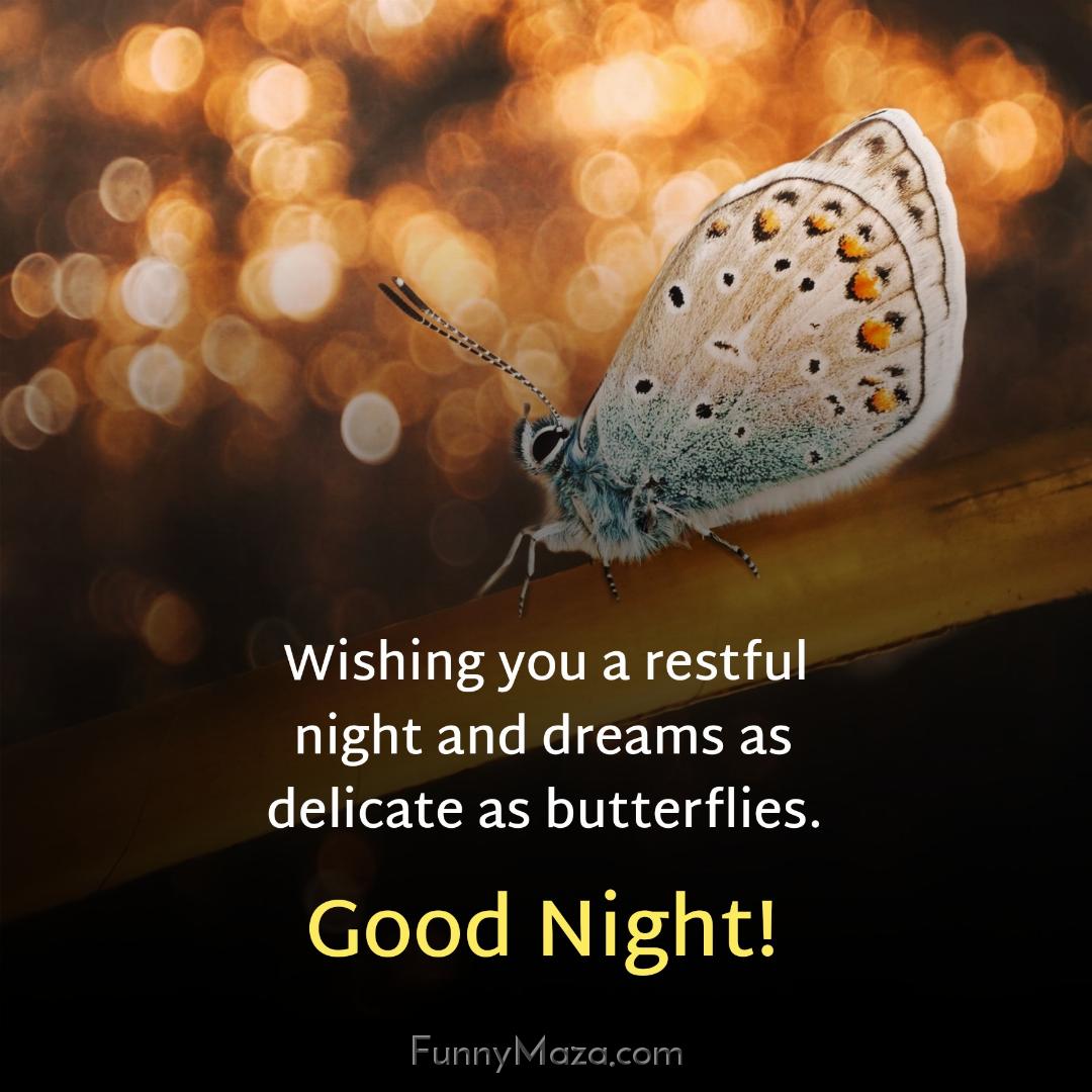 Wishing you a restful night and dreams as delicate as butterflies