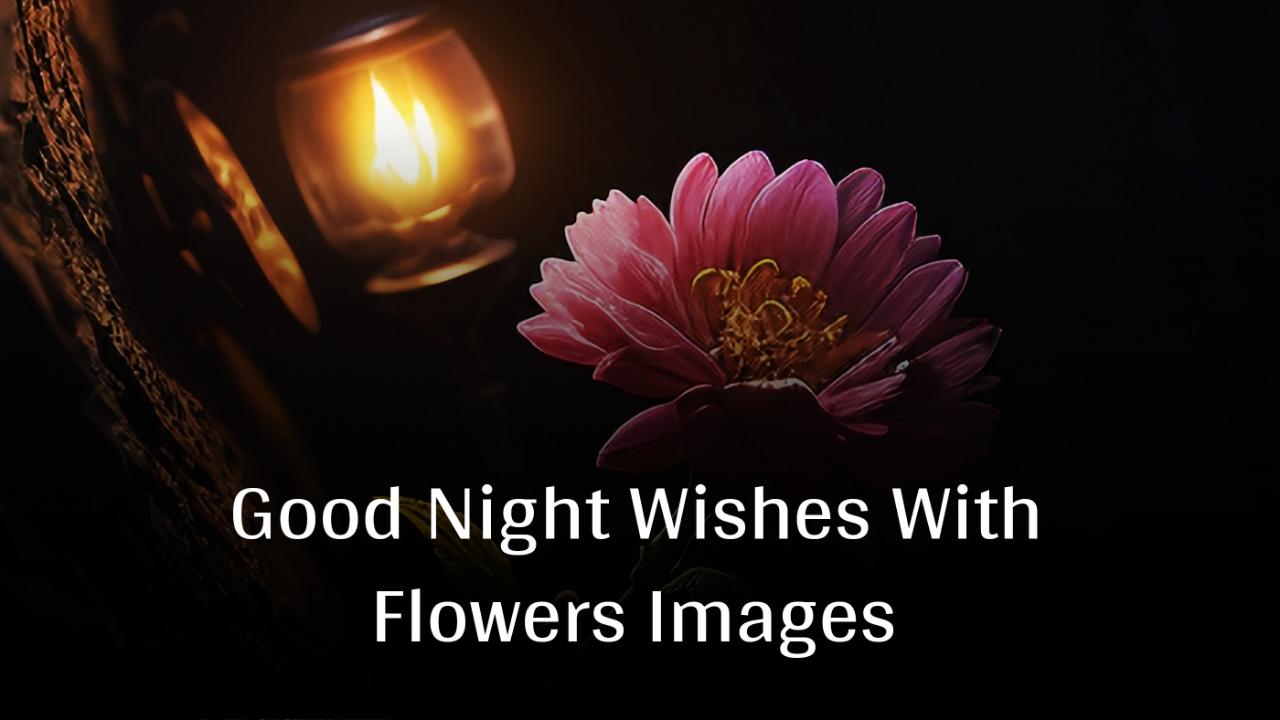 Good Night Wishes With Flowers Images