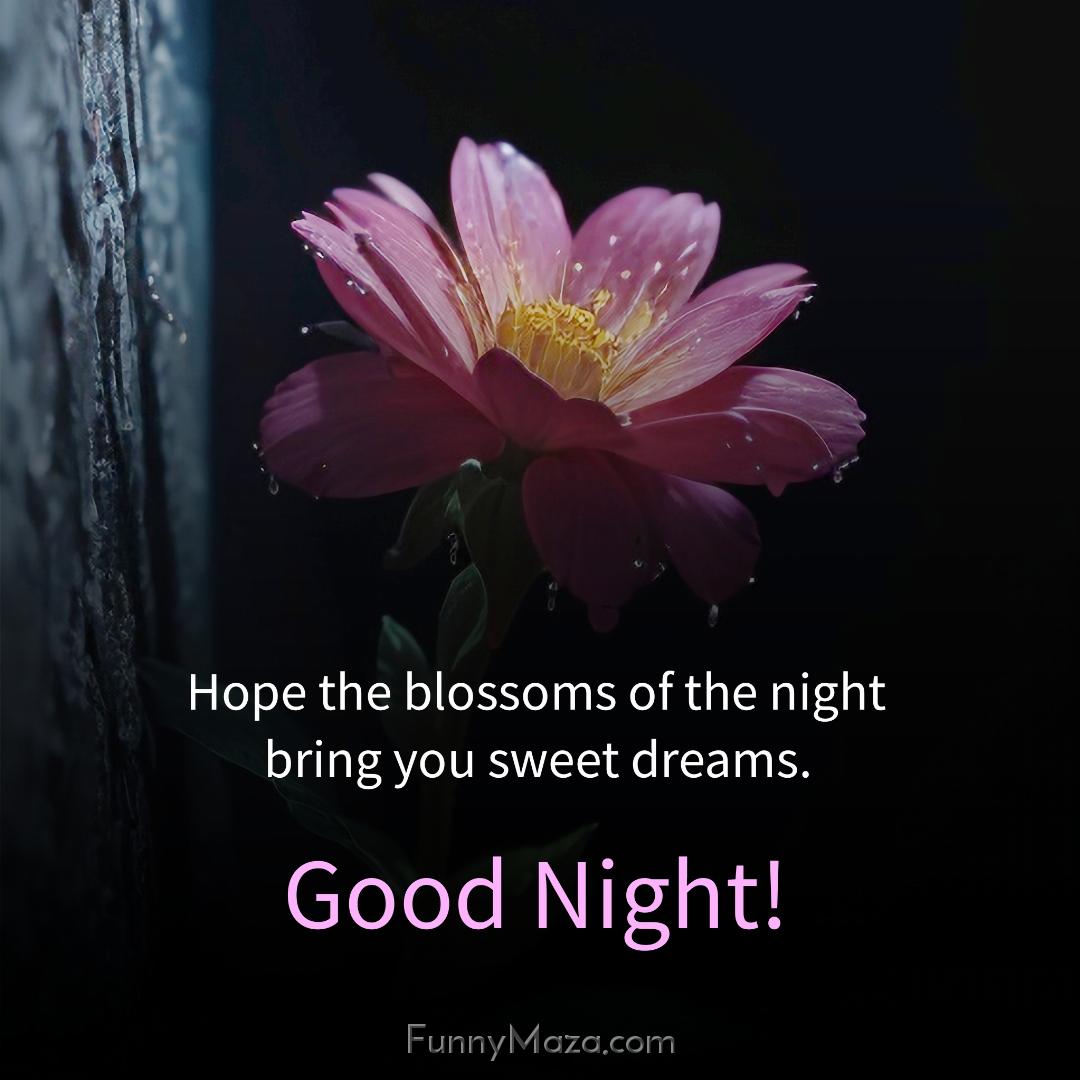 Hope the blossoms of the night bring you sweet dreams