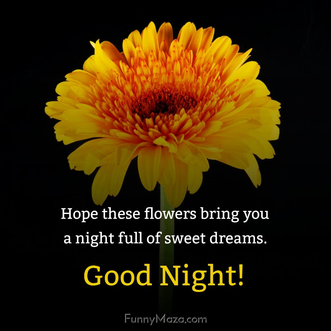 Hope these flowers bring you a night full of sweet dreams