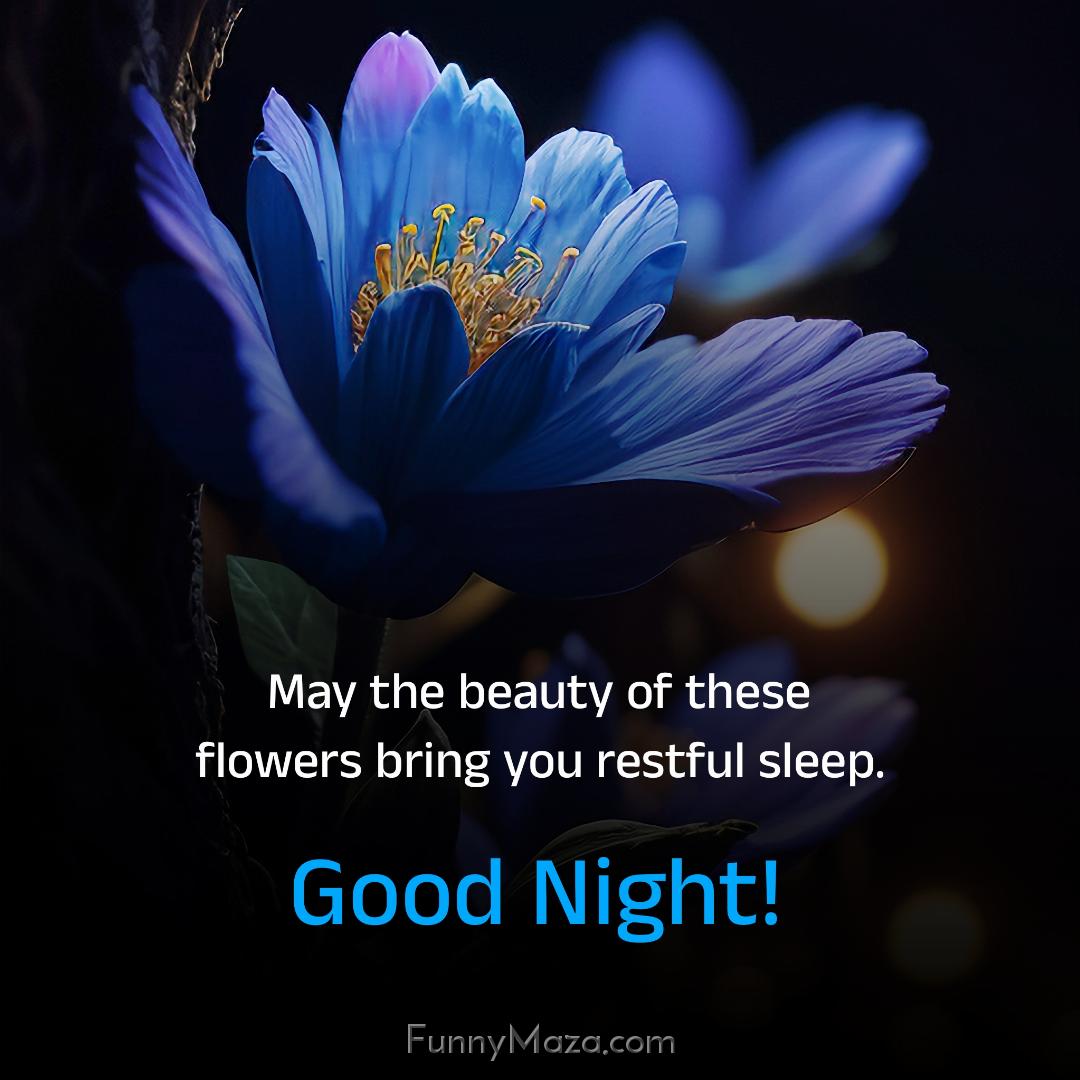 May the beauty of these flowers bring you restful sleep