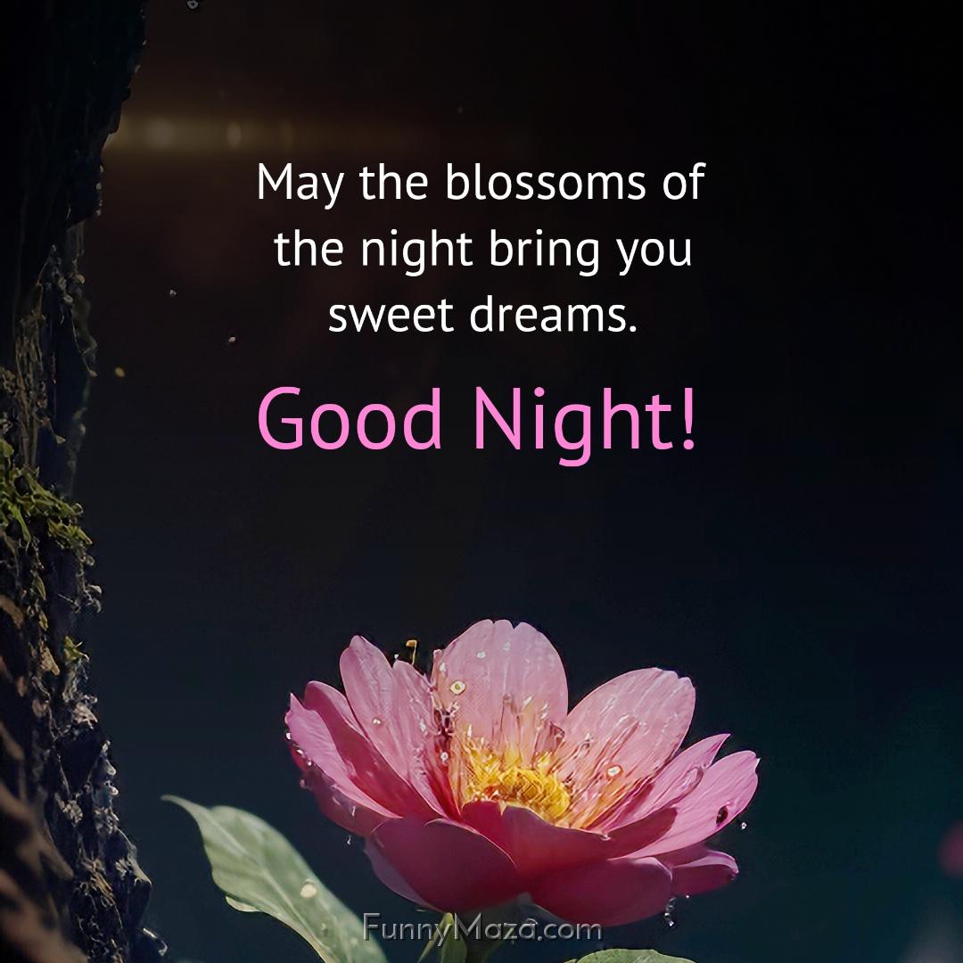 May the blossoms of the night bring you sweet dreams