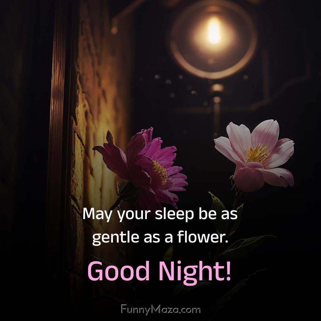 May your sleep be as gentle as a flower