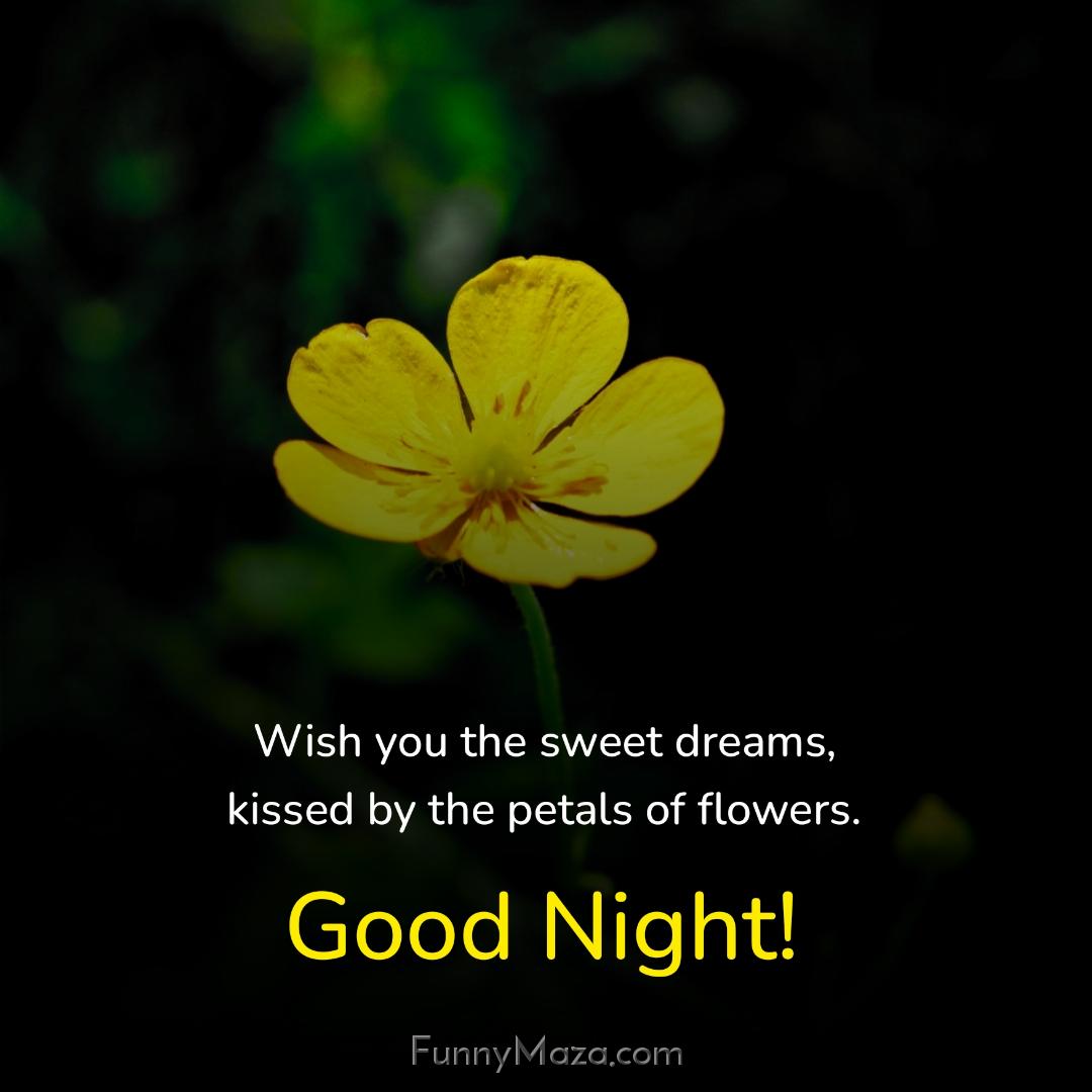 Wish you the sweet dreams kissed by the petals of flowers