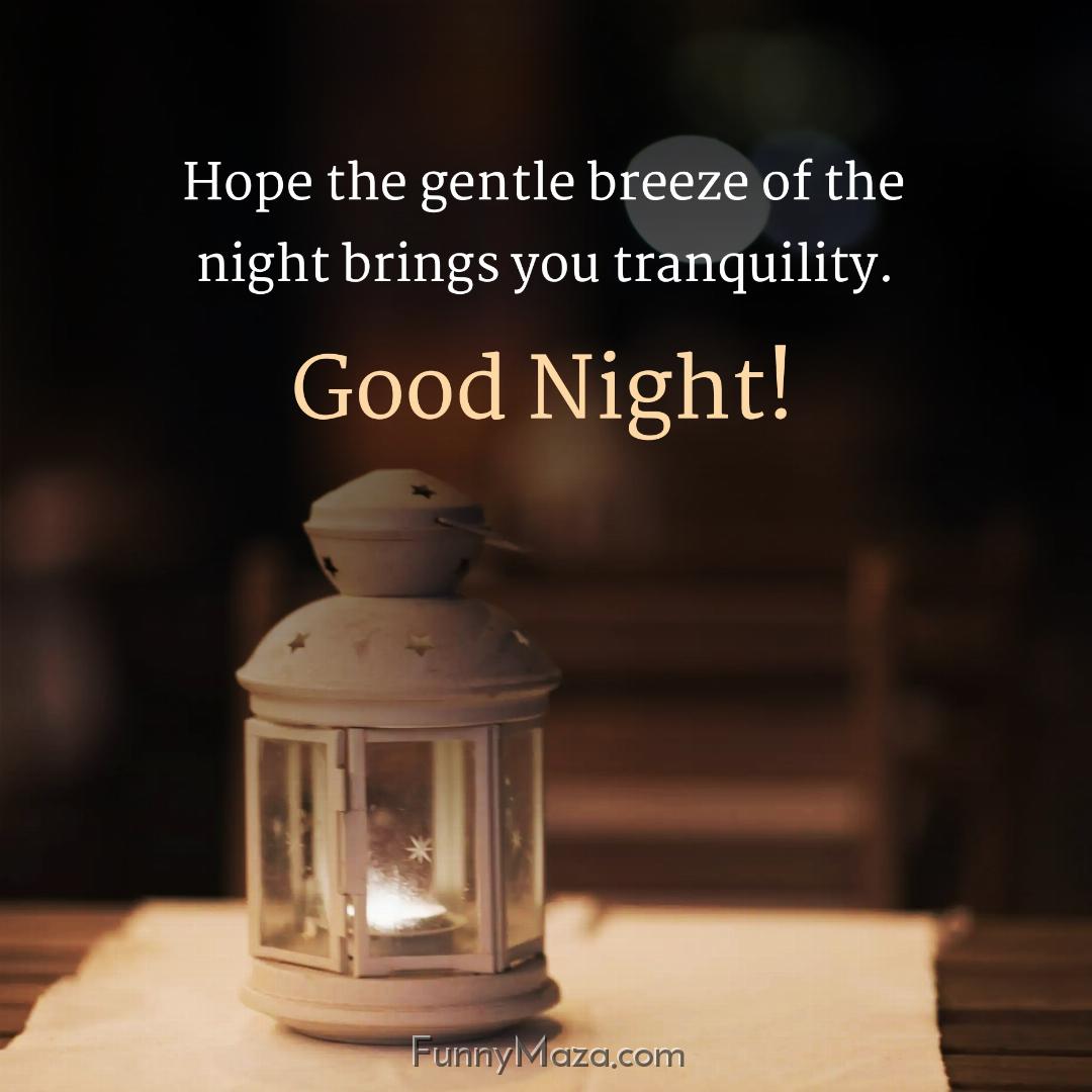 Hope the gentle breeze of the night brings you tranquility