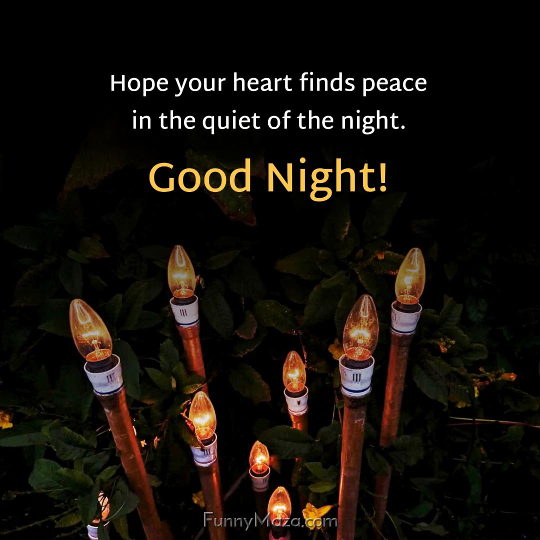 Hope your heart finds peace in the quiet of the night