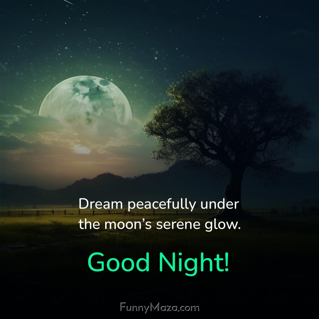 Dream peacefully under the moon’s serene glow