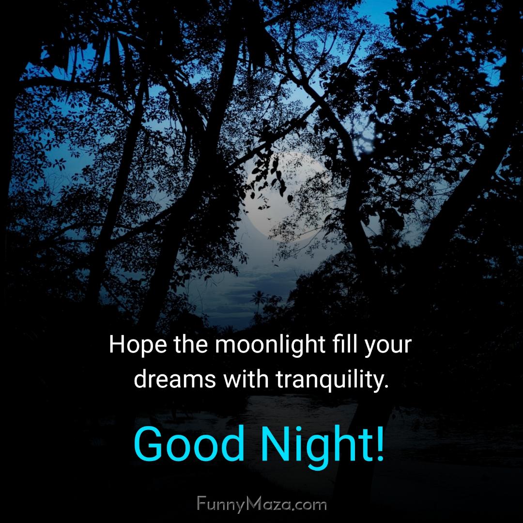 Hope the moonlight fill your dreams with tranquility