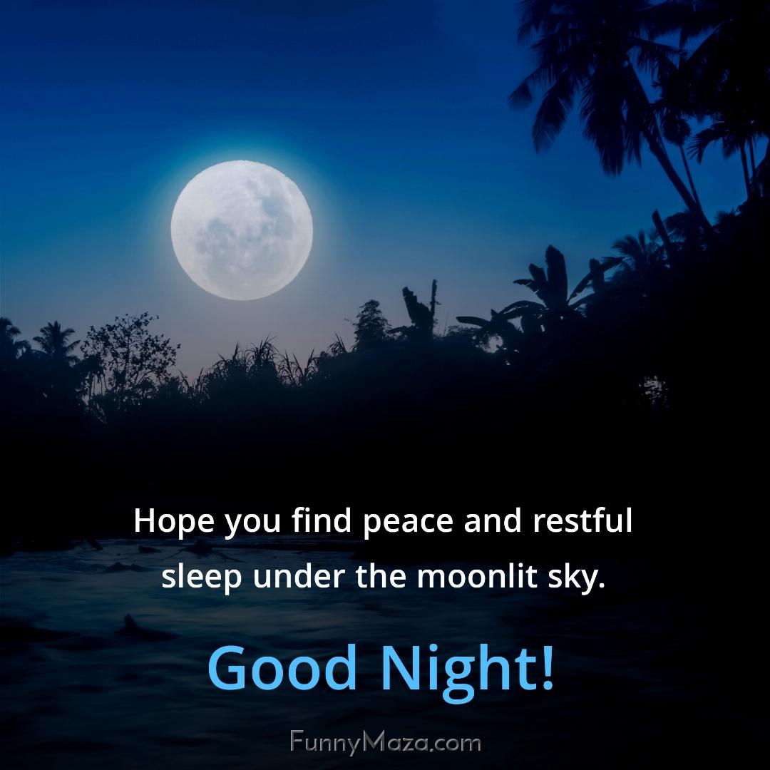 Hope you find peace and restful sleep under the moonlit sky