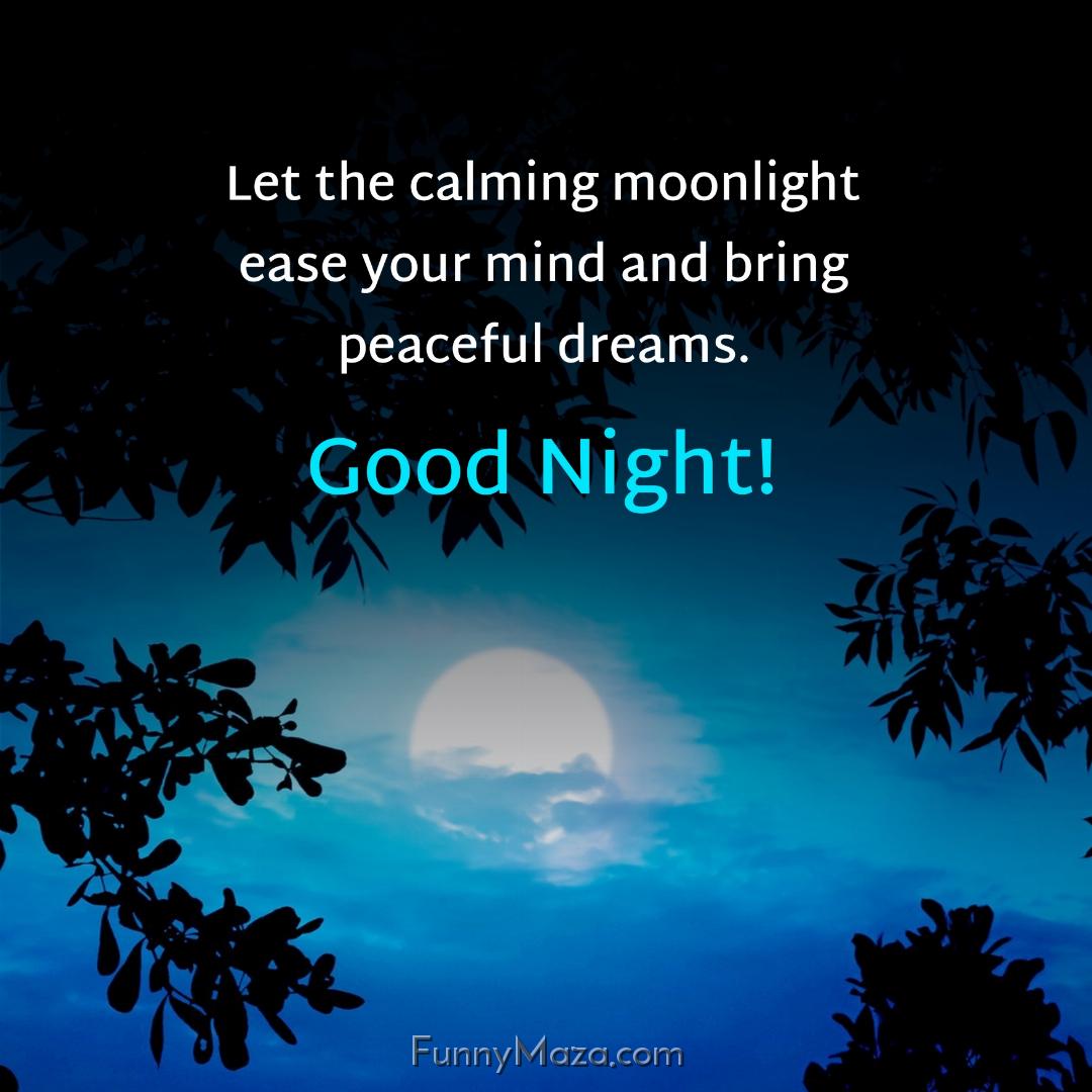 Let the calming moonlight ease your mind and bring peaceful dreams