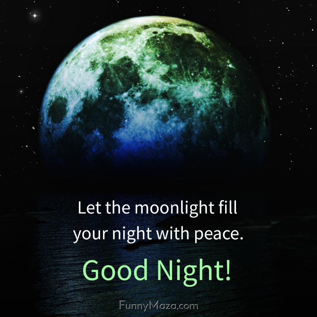 Let the moonlight fill your night with peace