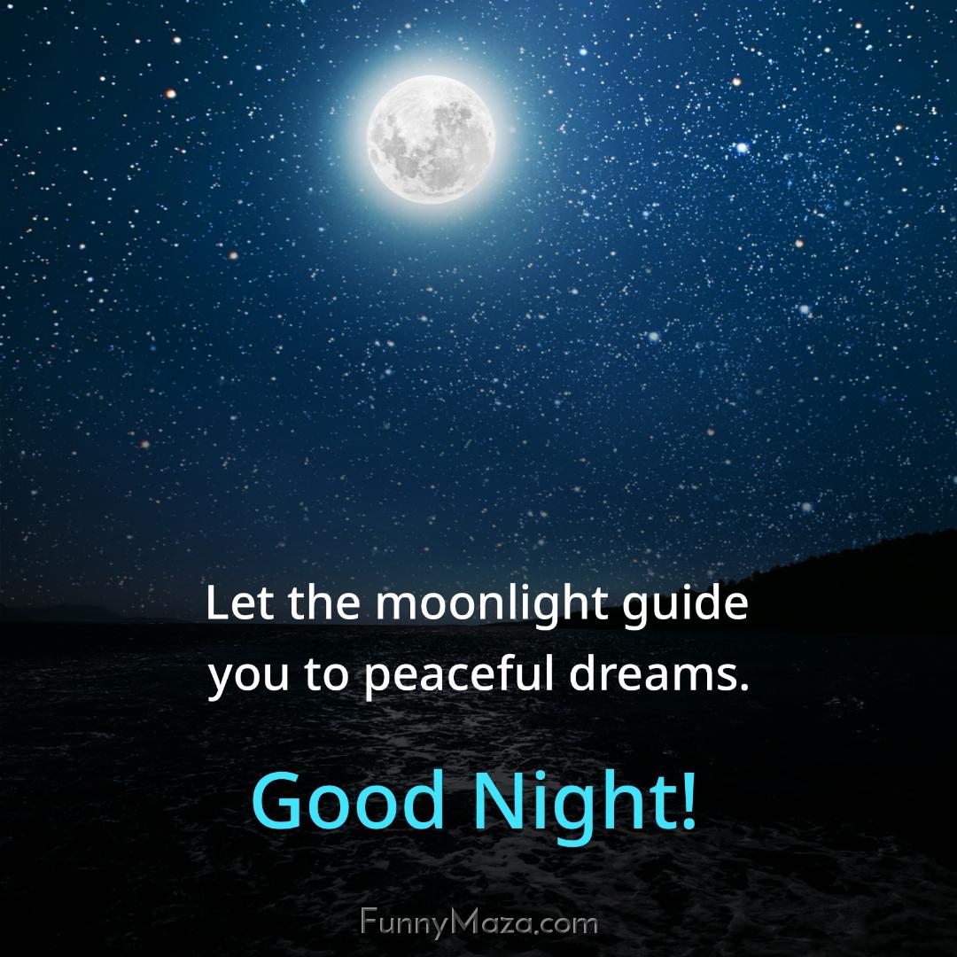 Let the moonlight guide you to peaceful dreams