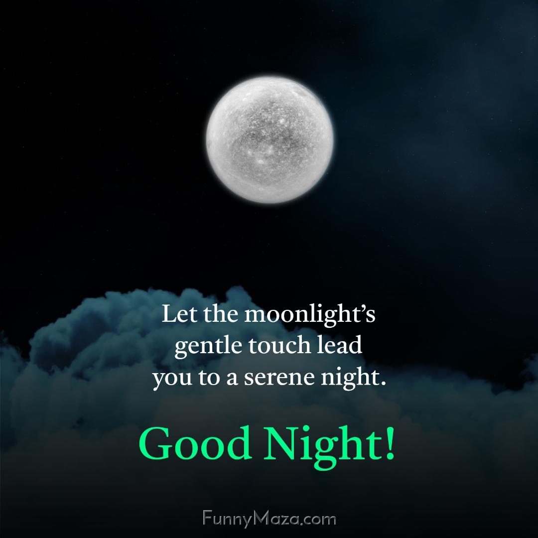 Let the moonlight’s gentle touch lead you to a serene night