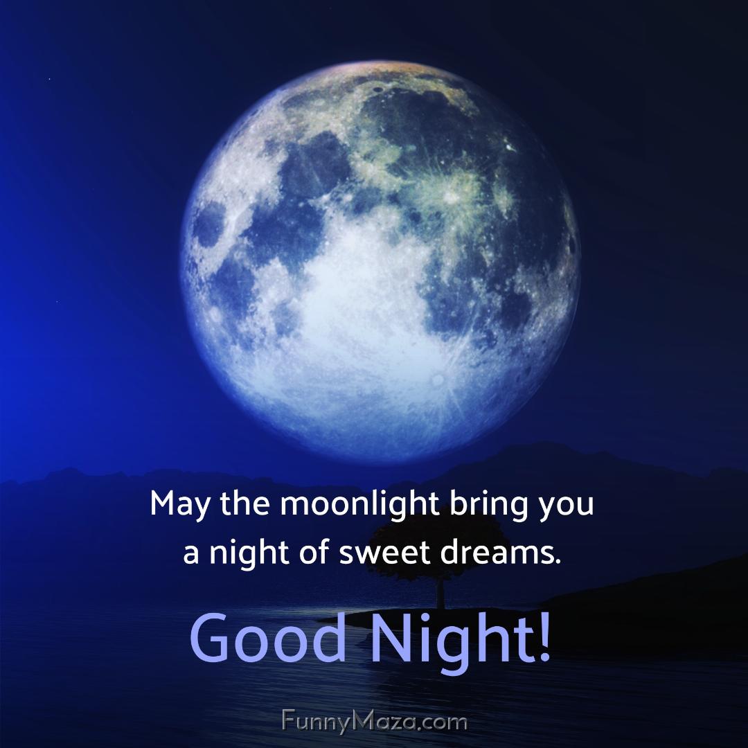 May the moonlight bring you a night of sweet dreams