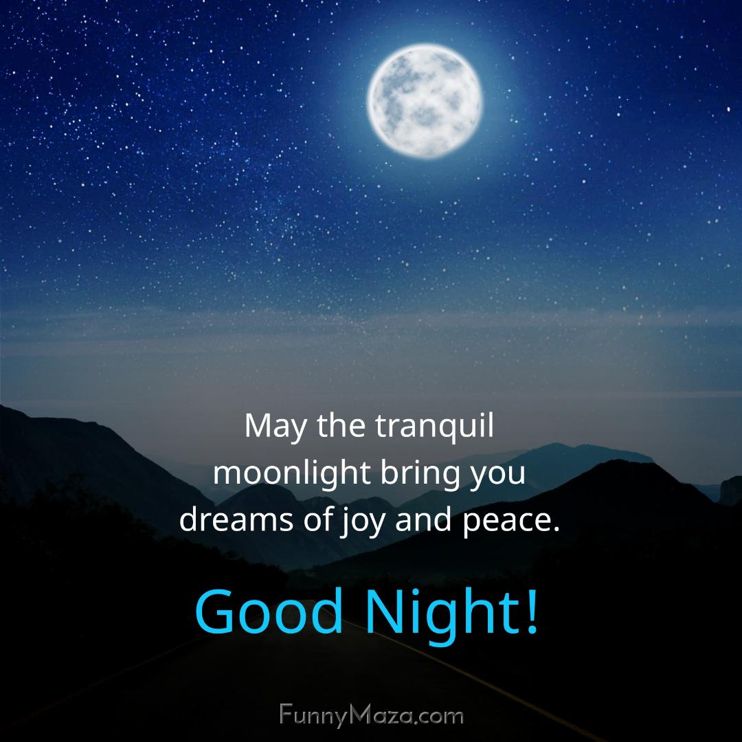 May the tranquil moonlight bring you dreams of joy and peace