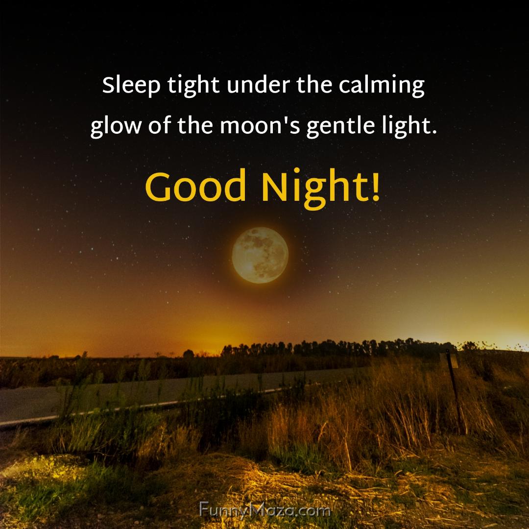 Sleep tight under the calming glow of the moon's gentle light