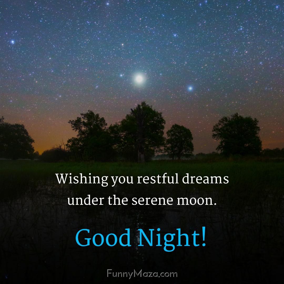 Wishing you restful dreams under the serene moon