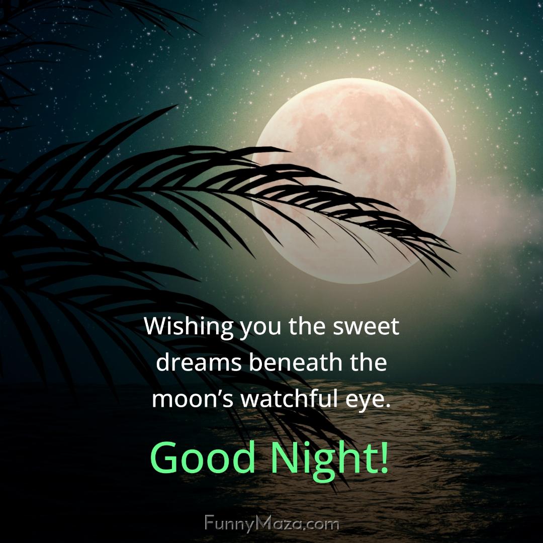 Wishing you the sweet dreams beneath the moon’s watchful eye