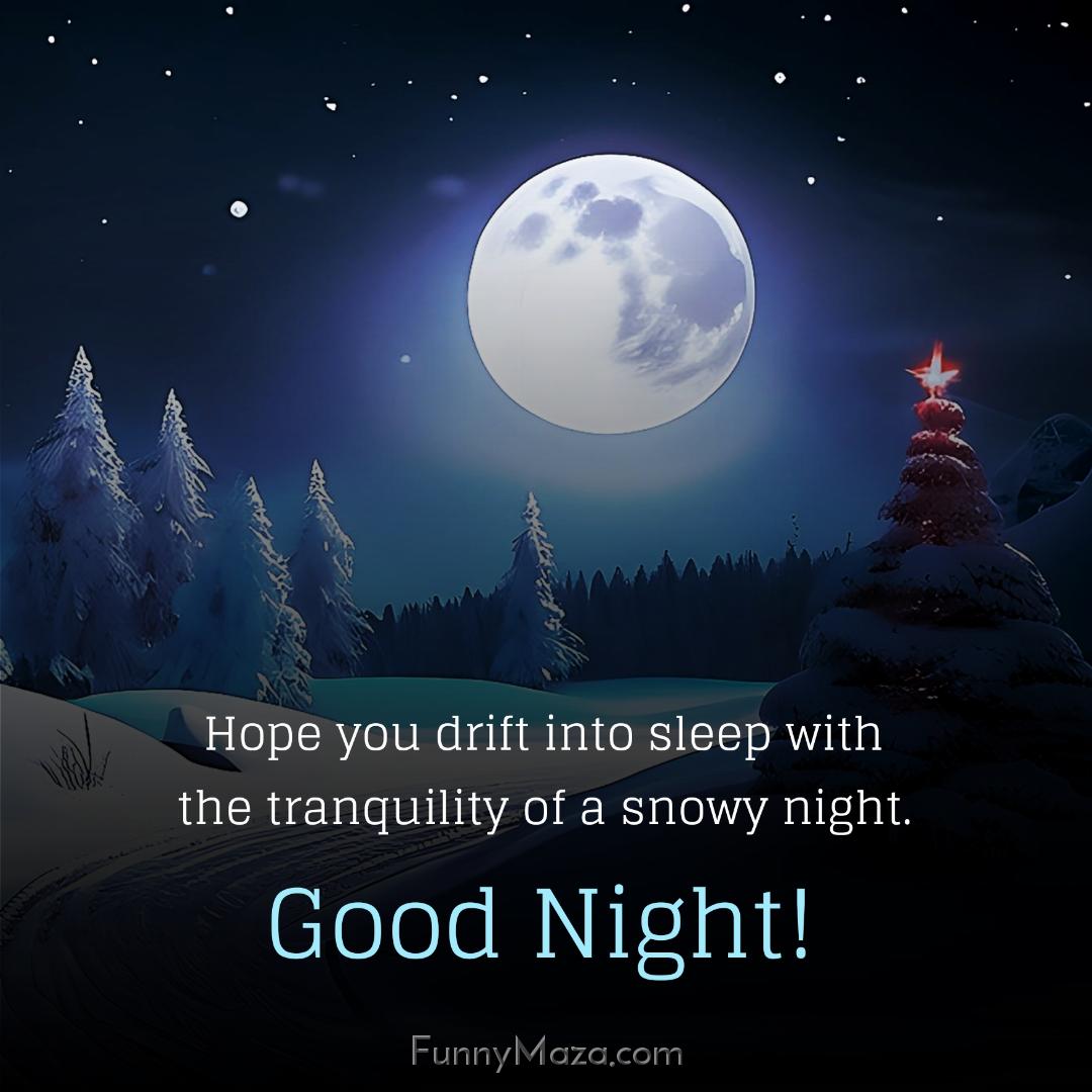 Hope you drift into sleep with the tranquility of a snowy