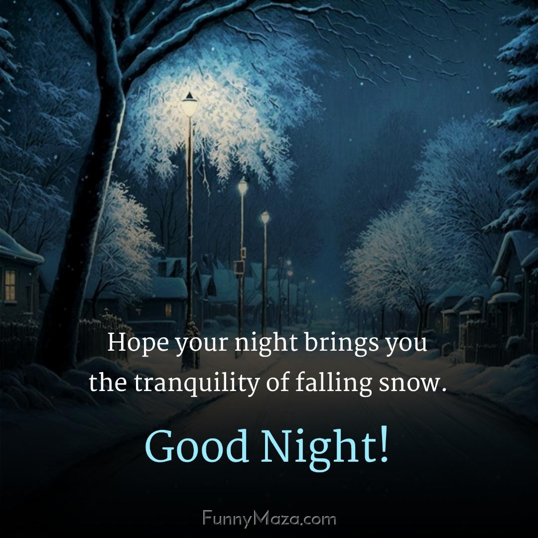 Hope your night brings you the tranquility of falling snow