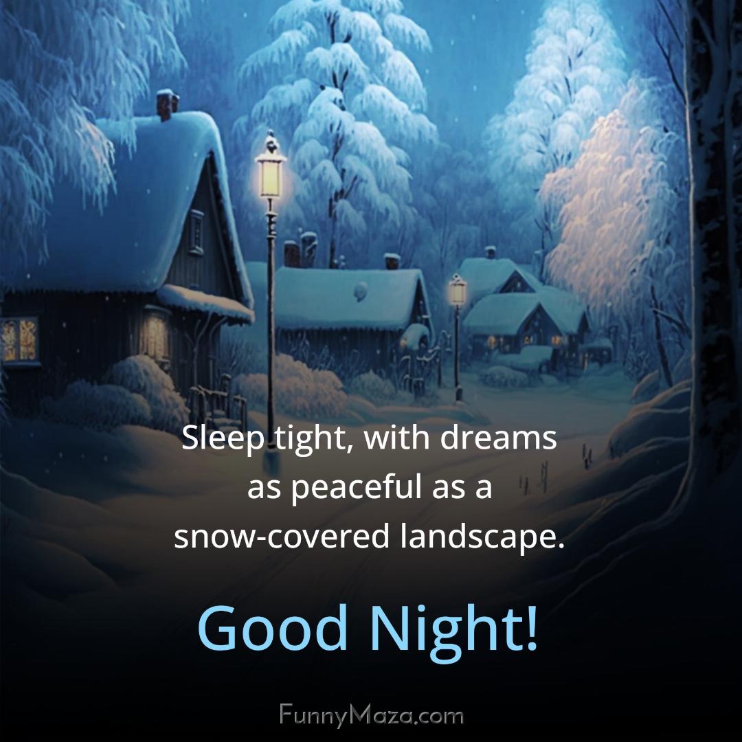 Sleep tight with dreams as peaceful as a snow-covered landscape