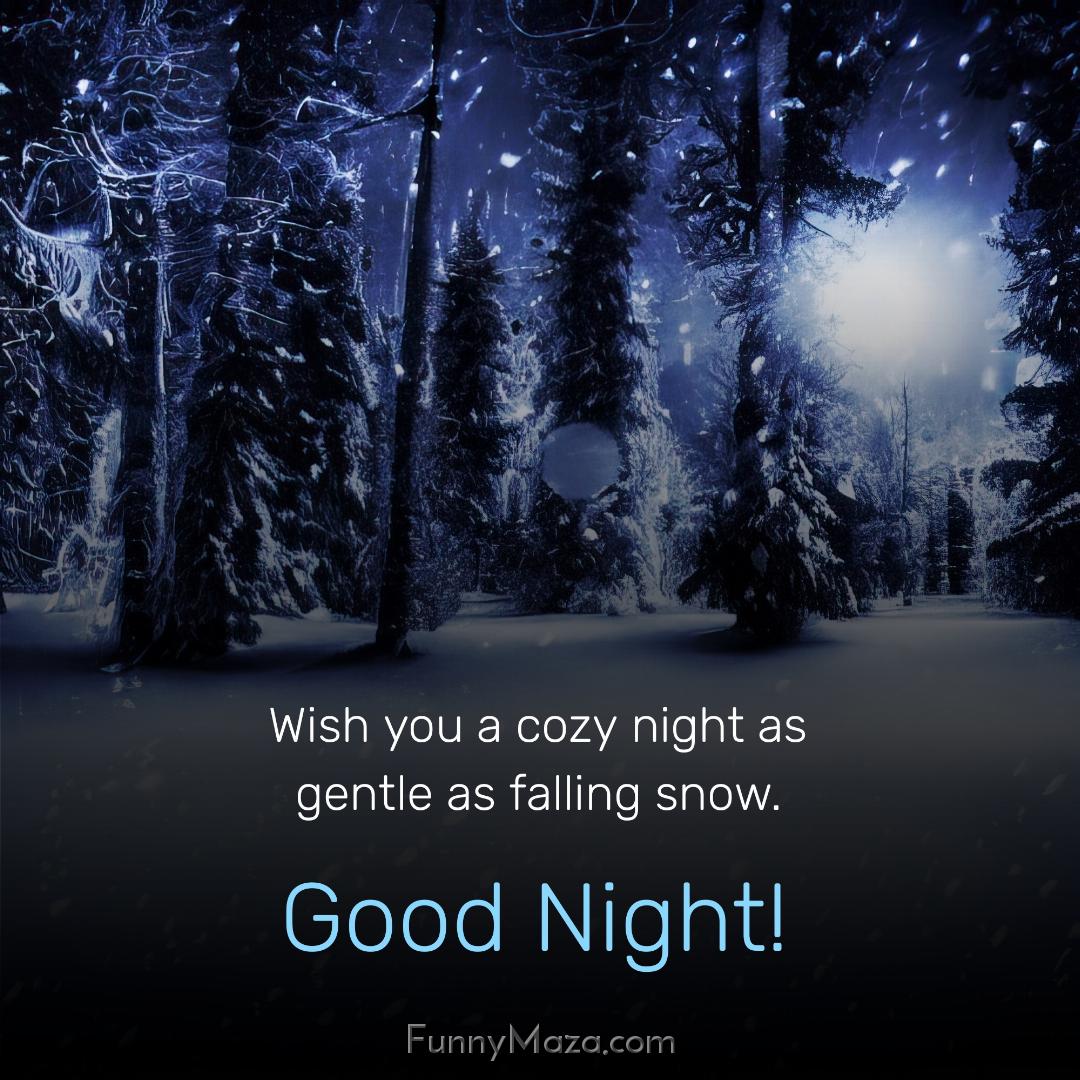 Wish you a cozy night as gentle as falling snow