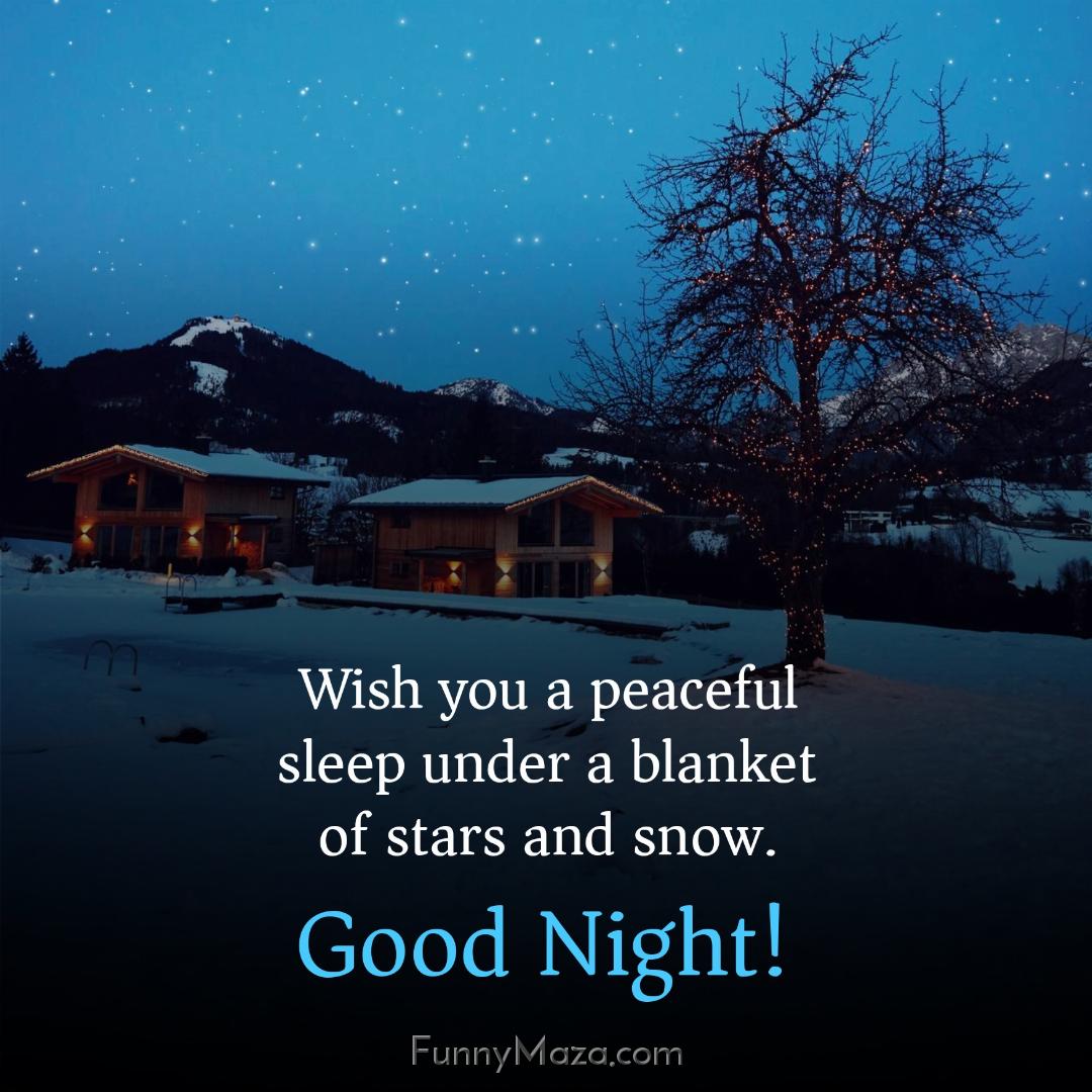 Wish you a peaceful sleep under a blanket of stars and