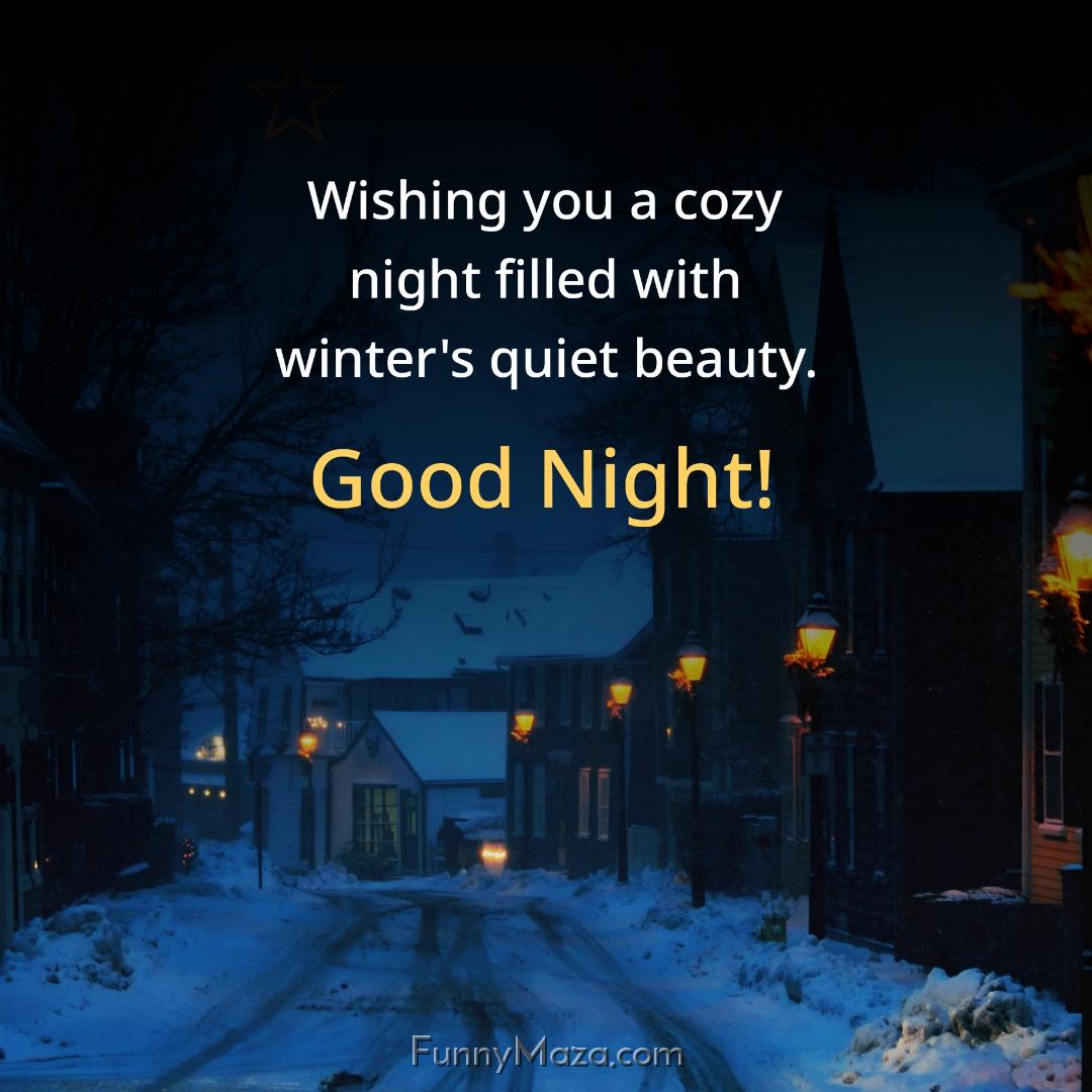 Wishing you a cozy night filled with winter's quiet beauty