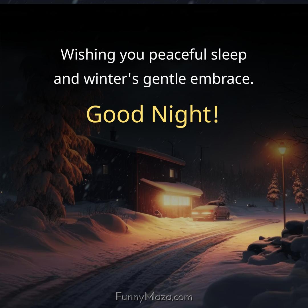 Wishing you peaceful sleep and winter's gentle embrace