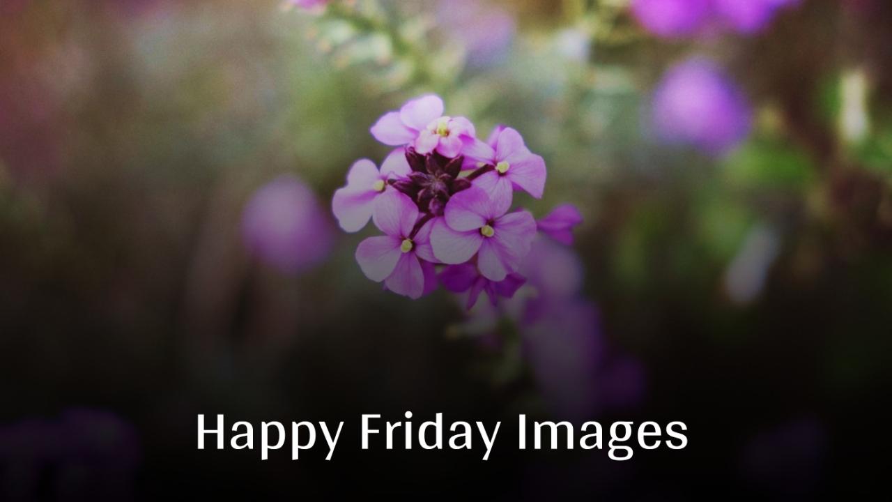 Beautiful Happy Friday Images