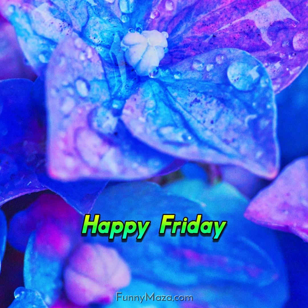 Happy Friday Dew Drops Images