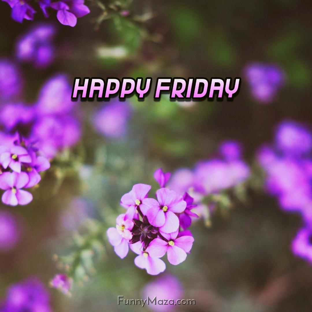 Happy Friday Flowers 2024 Images