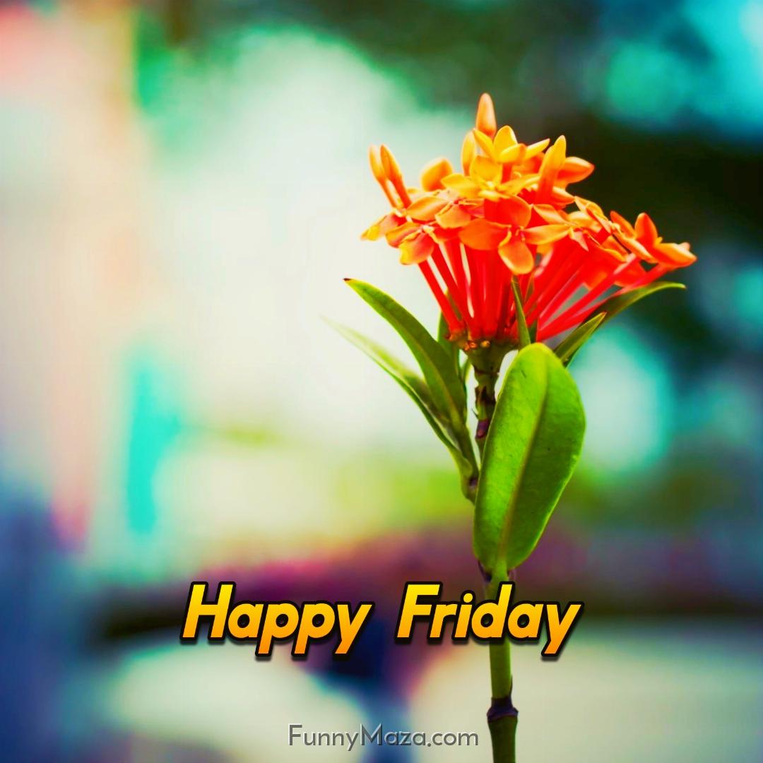 Happy Friday Flowers Images