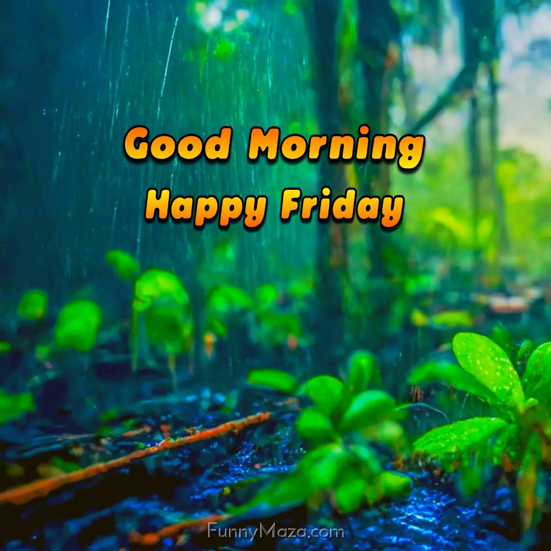 Beautiful Good Morning Happy Friday Rainy Photos