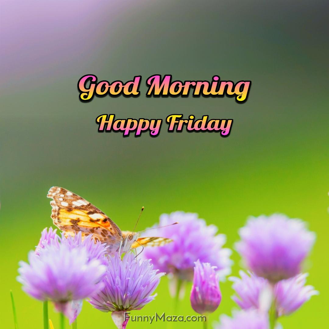 Good Morning Happy Friday Butterfly 2024 Images