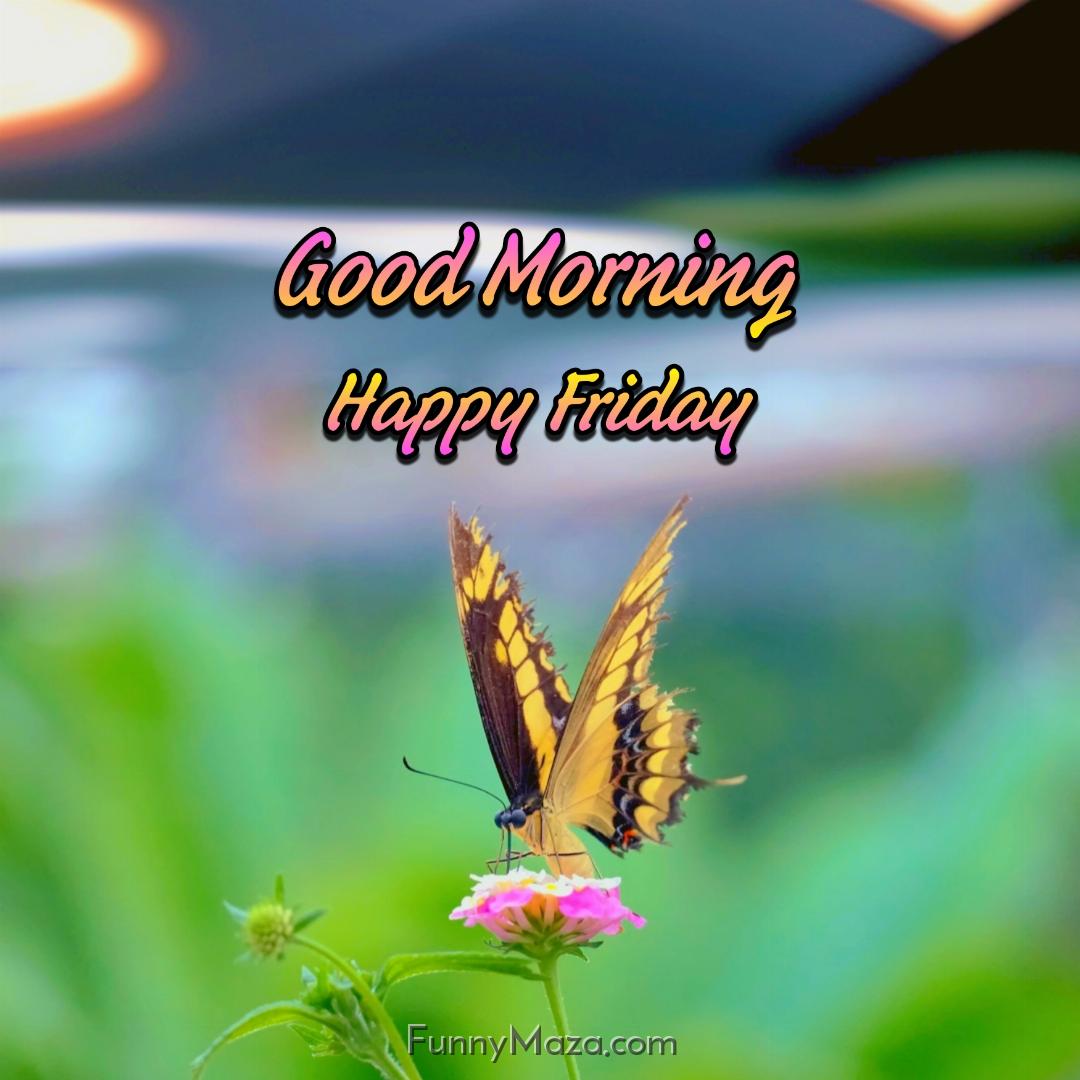 Good Morning Happy Friday Butterfly Wallpaper