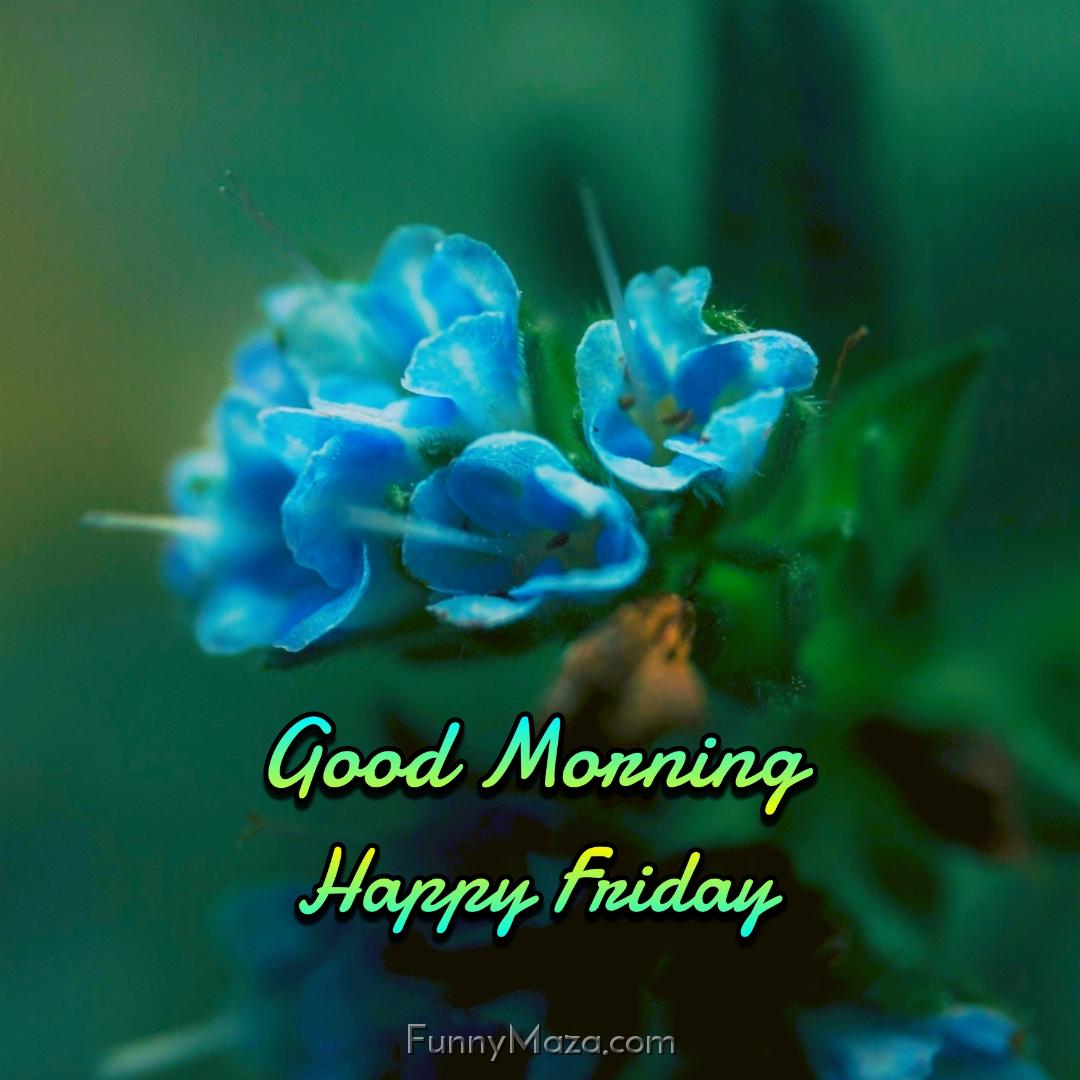 Good Morning Happy Friday Flowers Images