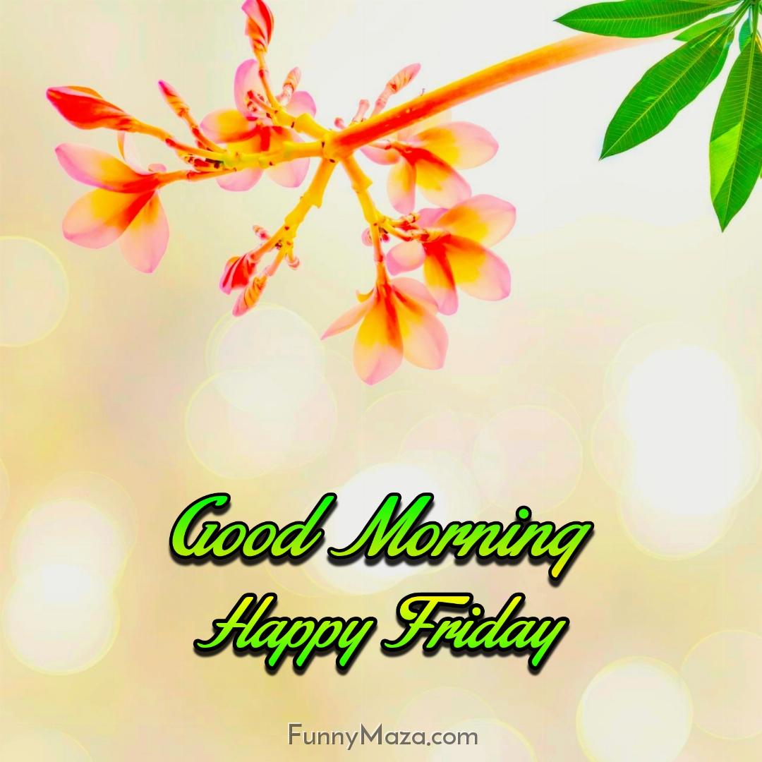 Good Morning Happy Friday Flowers Wallpaper