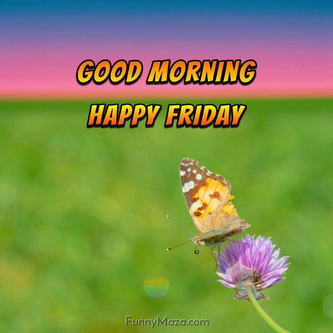 New Good Morning Happy Friday Butterfly Images 2024 HD Download