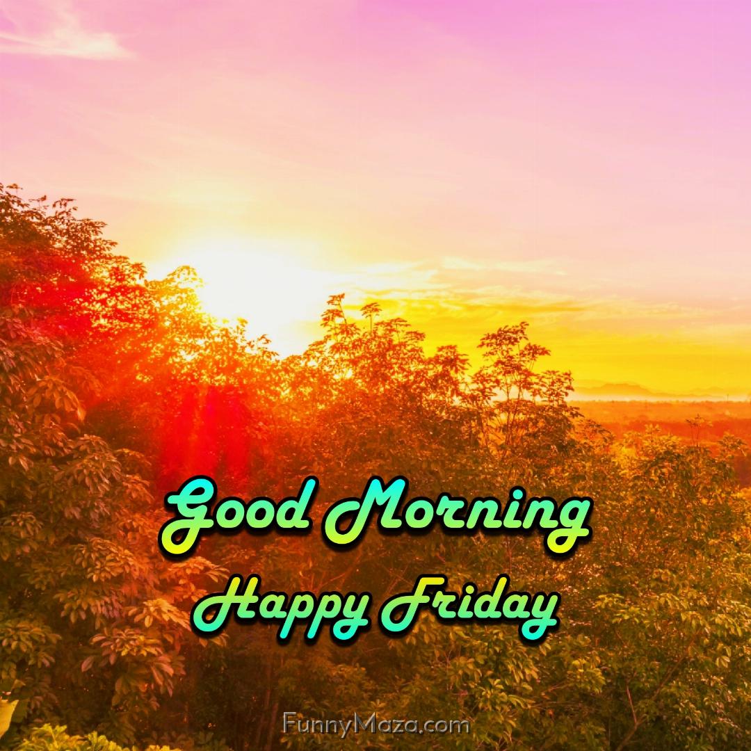 New Good Morning Happy Friday Nature Images 2024 HD Download