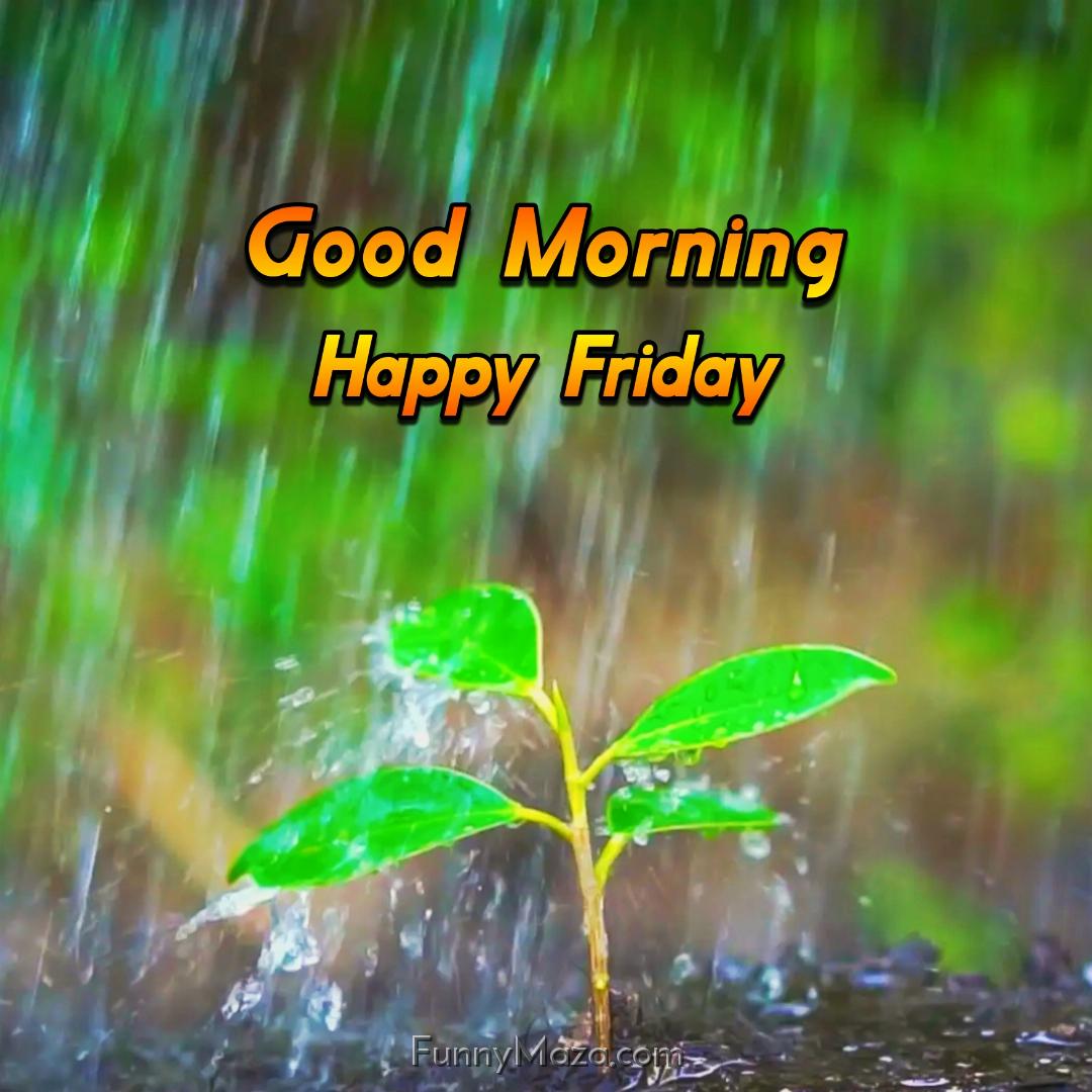 New Good Morning Happy Friday Rainy Images 2024 HD Download